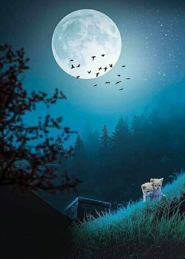 Full Moon Transits