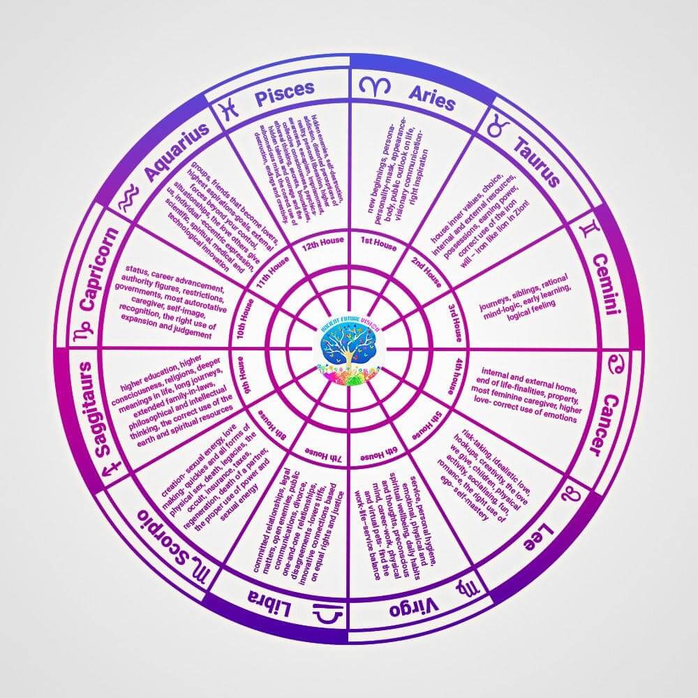 What is 1st house energy astrology